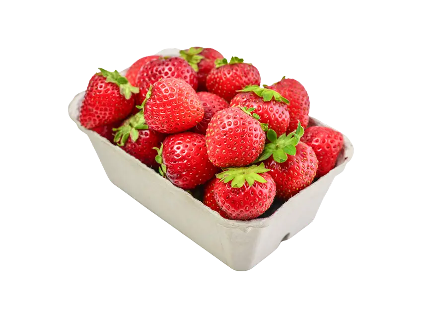Obstschalen: Frische, rote Erdbeeren in einer weißen Pappschale, clean und appetitlich präsentiert.